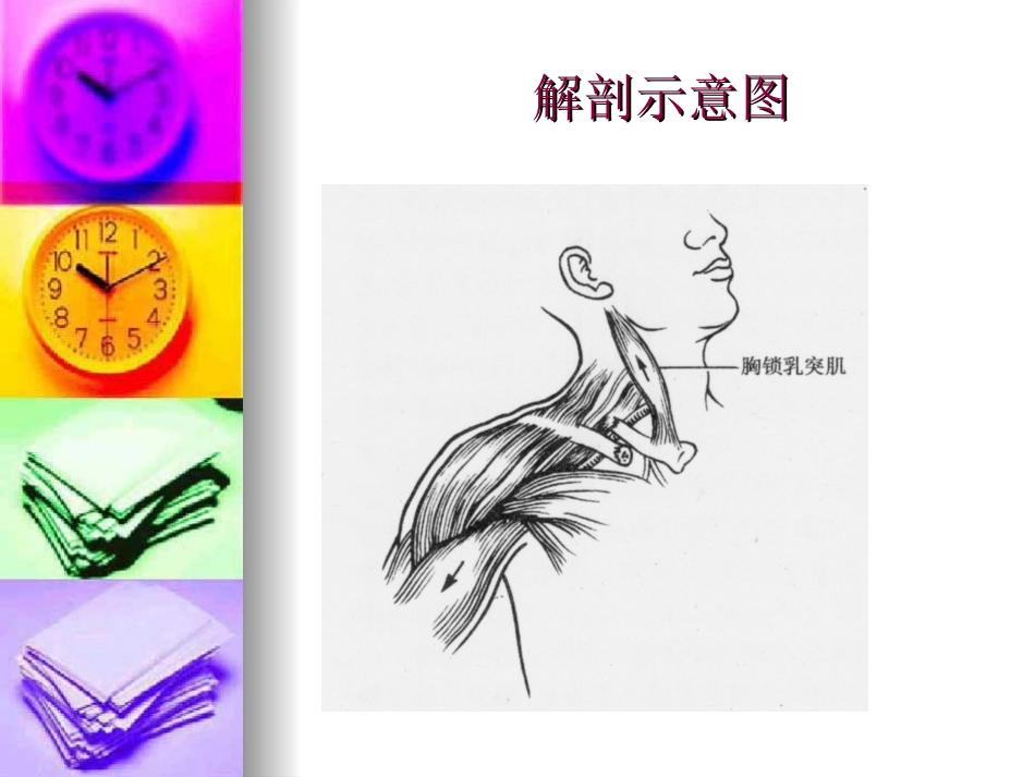 锁骨骨折的护理优质课件_第3页