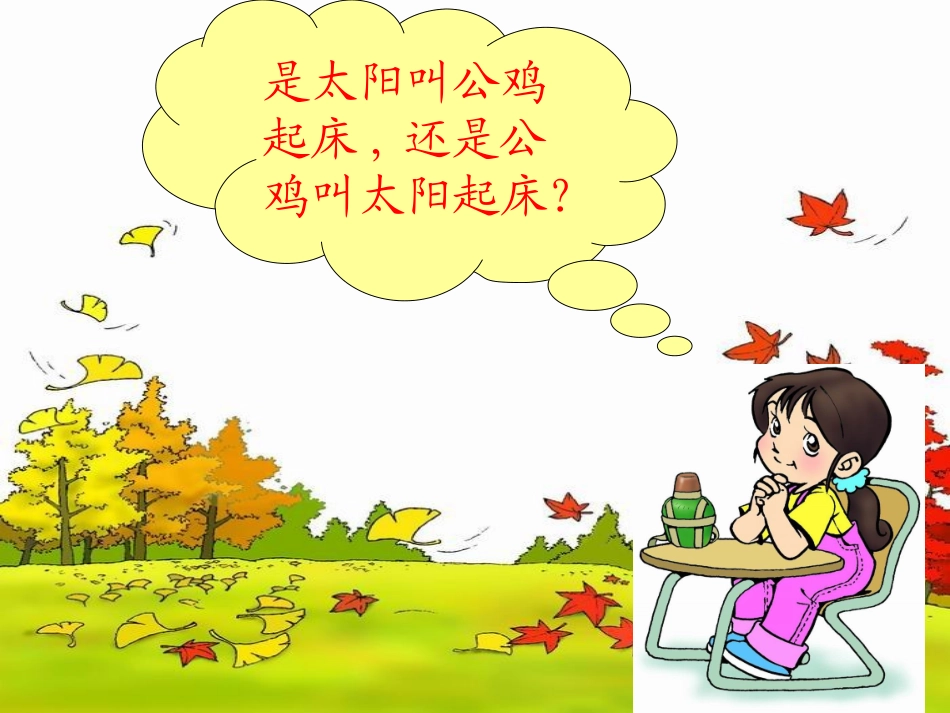 太阳是大家的课件_第3页