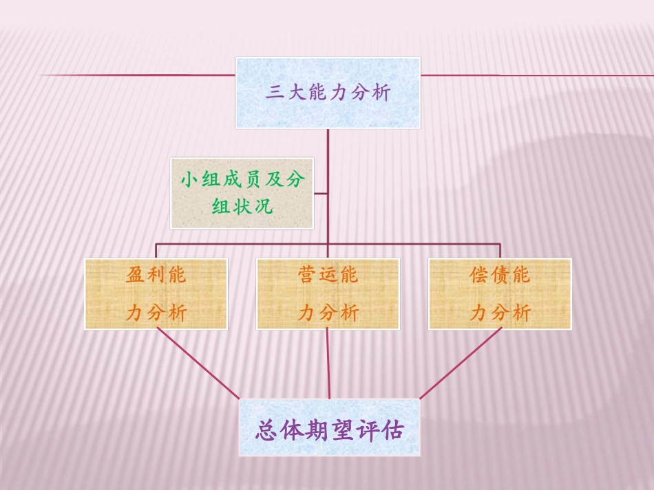 探路者财务报表分析_第2页