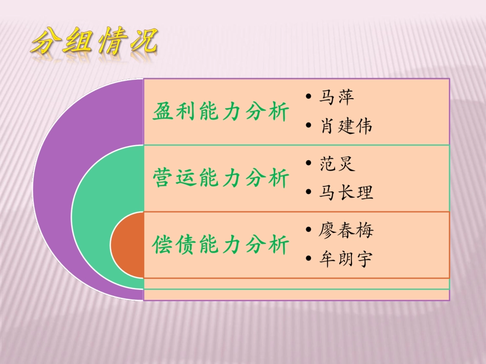 探路者财务报表分析_第3页