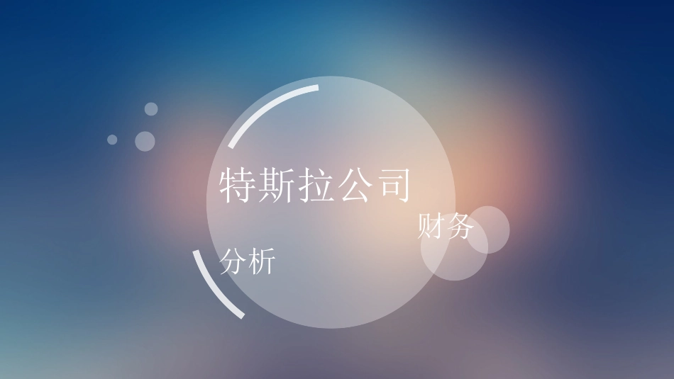 特斯拉财务分析_第1页