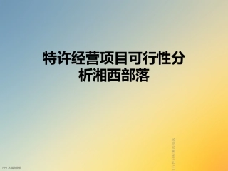 特许经营项目可行性分析湘西部落