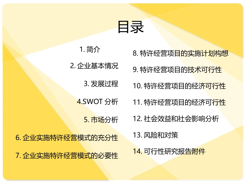 特许可行性报告_第3页