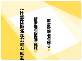 特许可行性报告