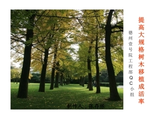 提高大树移植成活率.QC