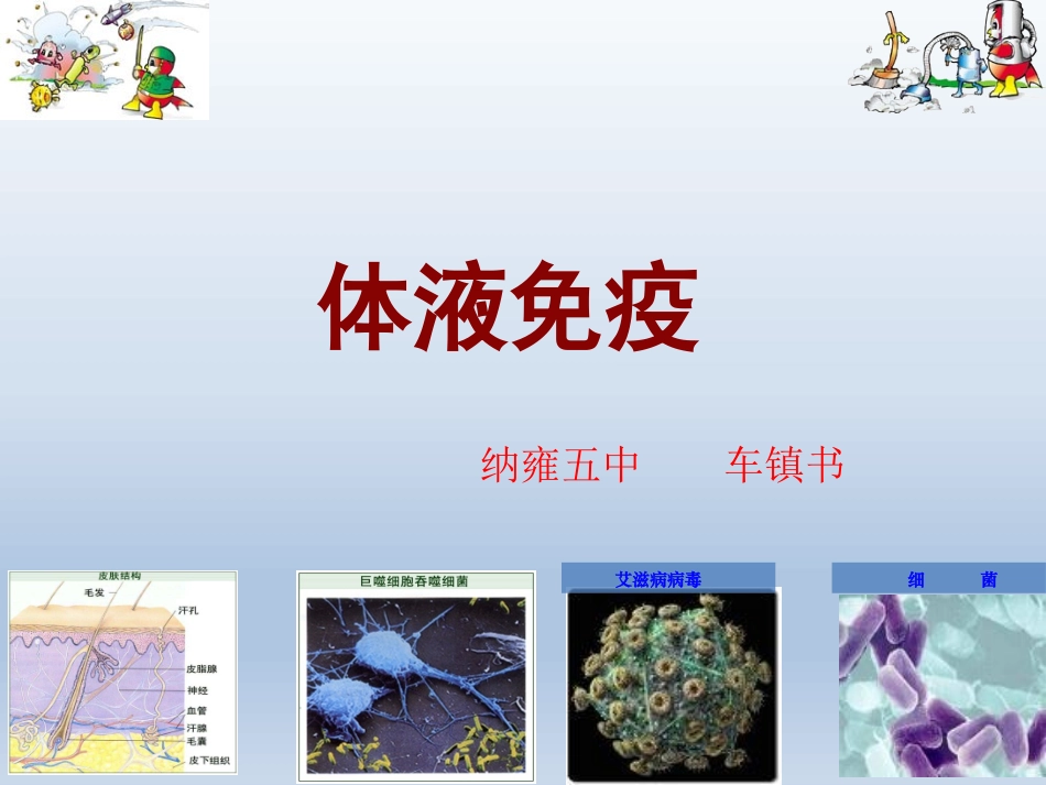 体液免疫公开课_第1页