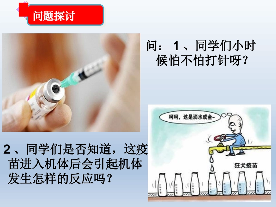 体液免疫公开课_第2页