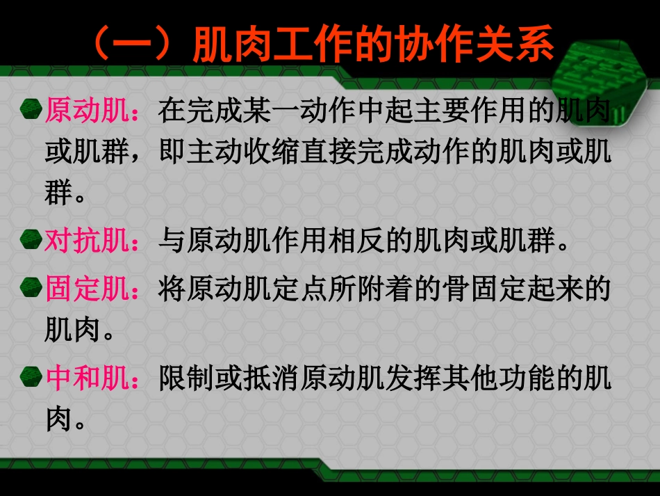 体育动作解剖学_第3页