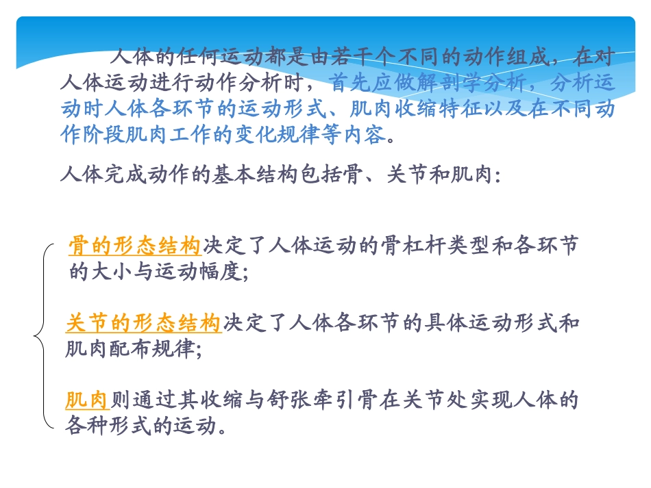 体育运动解剖学分析_第2页
