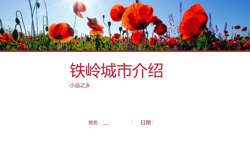 铁岭介绍铁岭简介经典版_第1页