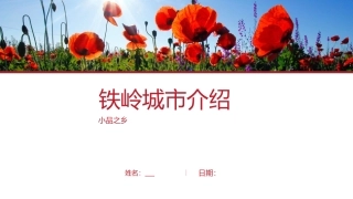 铁岭介绍铁岭简介经典版