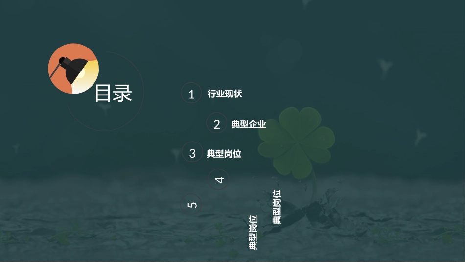 通信专业接口企业与详细信息调研报告_第2页