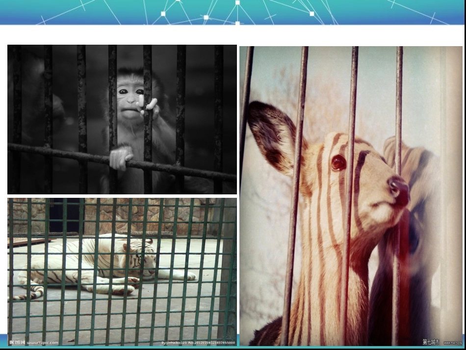 童话故事小动物找工作_第3页