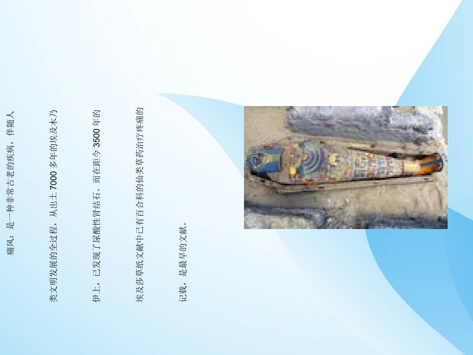 痛风课件课件_第2页