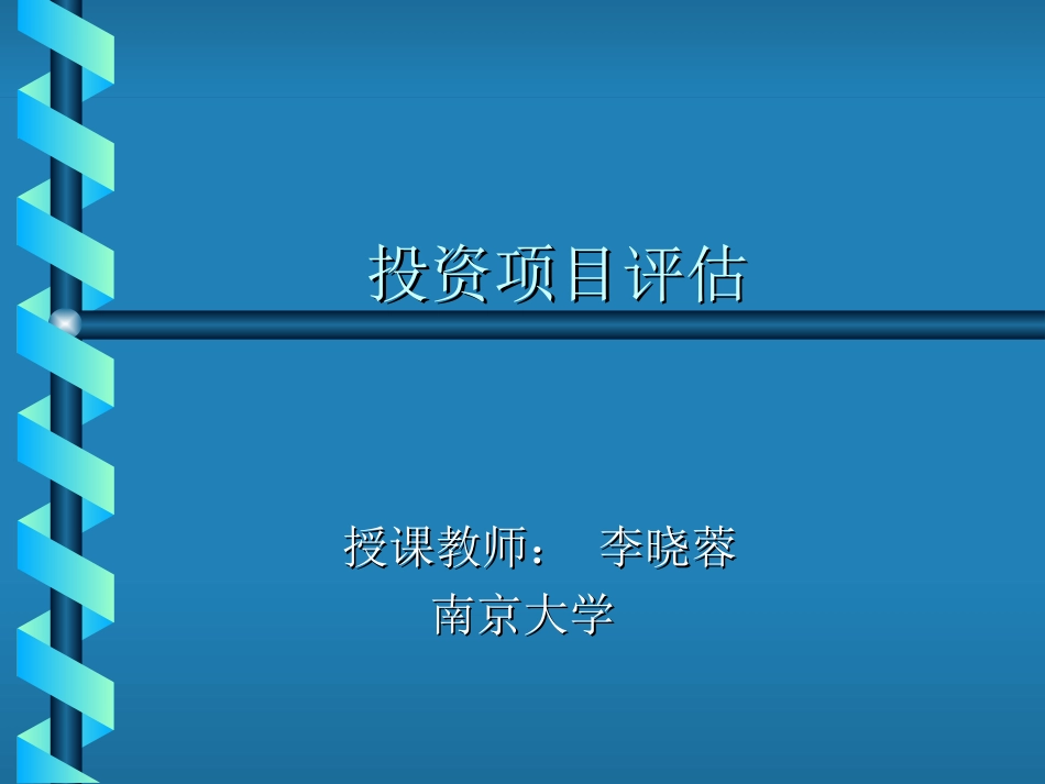投资项目评估_第1页