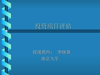 投资项目评估