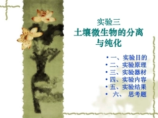 土壤微生物的分离与纯化