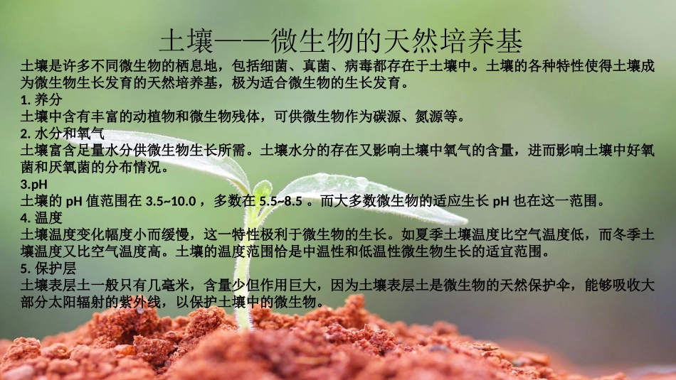 土壤微生物与土壤污染修复_第2页