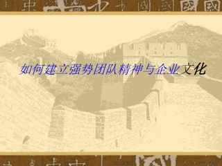团队精神与企业文化