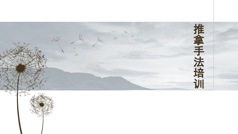 推拿手法培训教学课件_第1页