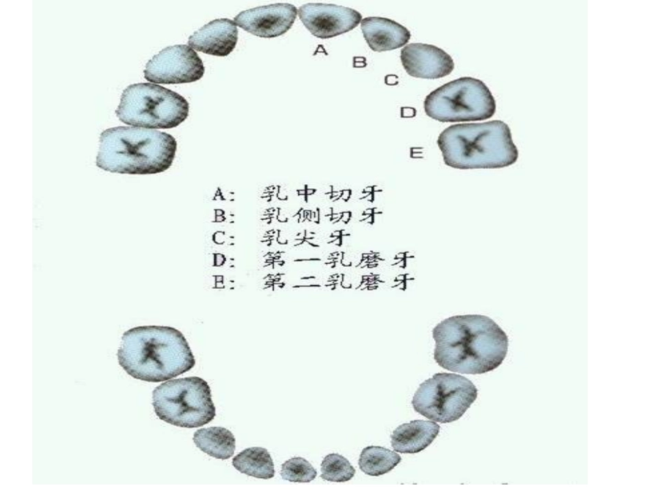 托班健康课件爱护牙齿_第3页
