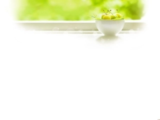 外科病人的术前准备