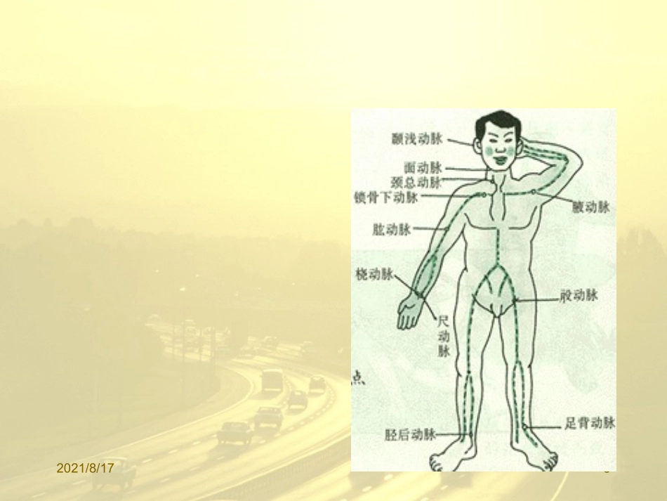 外伤止血包扎固定术_第3页