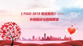 外阴癌治疗指南