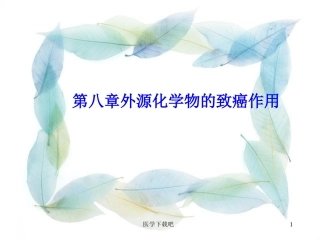 外源化学物的致癌作用