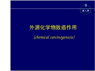 外源化学物致癌作用