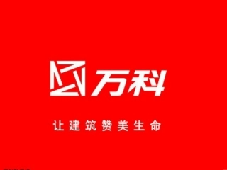 万科SWOT及财务分析