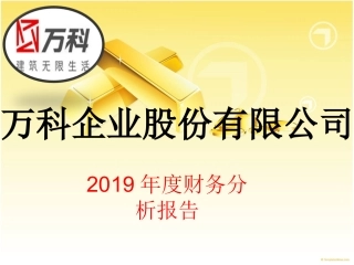 万科集团财务分析