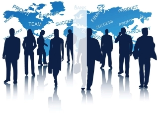 网络招聘分析报告