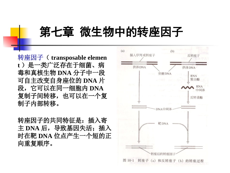 微生物中的转座因子_第1页