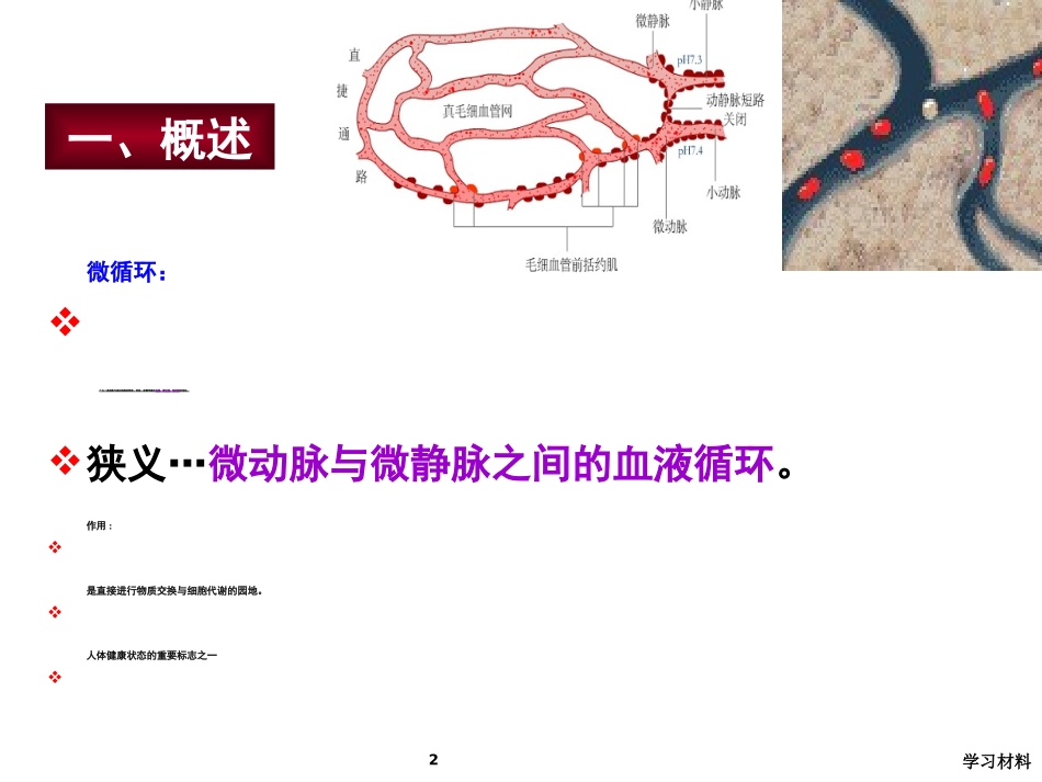 微循环检测课件_第2页