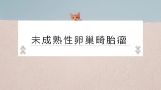 未成熟性畸胎瘤教学查房