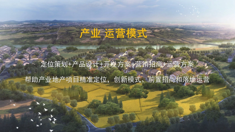 文旅地产田园综合体开发运营模式_第1页