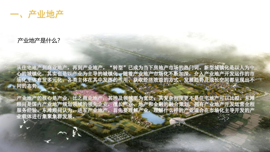 文旅地产田园综合体开发运营模式_第2页