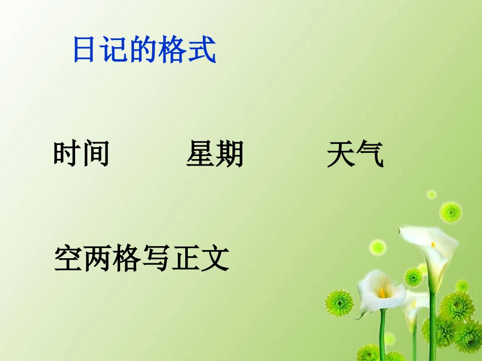 我们班的微型日记_第2页