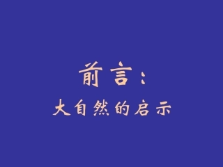 屋面虹吸排水系统图解