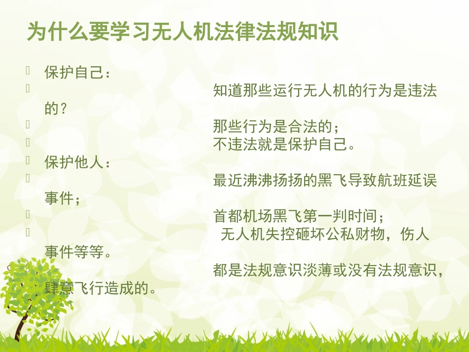 无人航空器法规概述_第3页