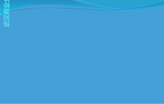 武汉商业分析报告报告