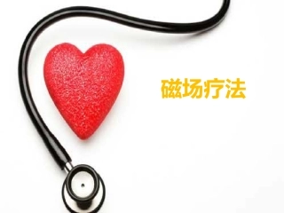 物理因子治疗技术磁疗法