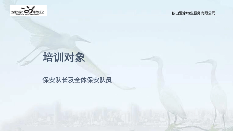 物业保安员培训_第3页