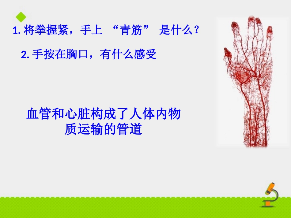 物质运输的器官课件_第2页