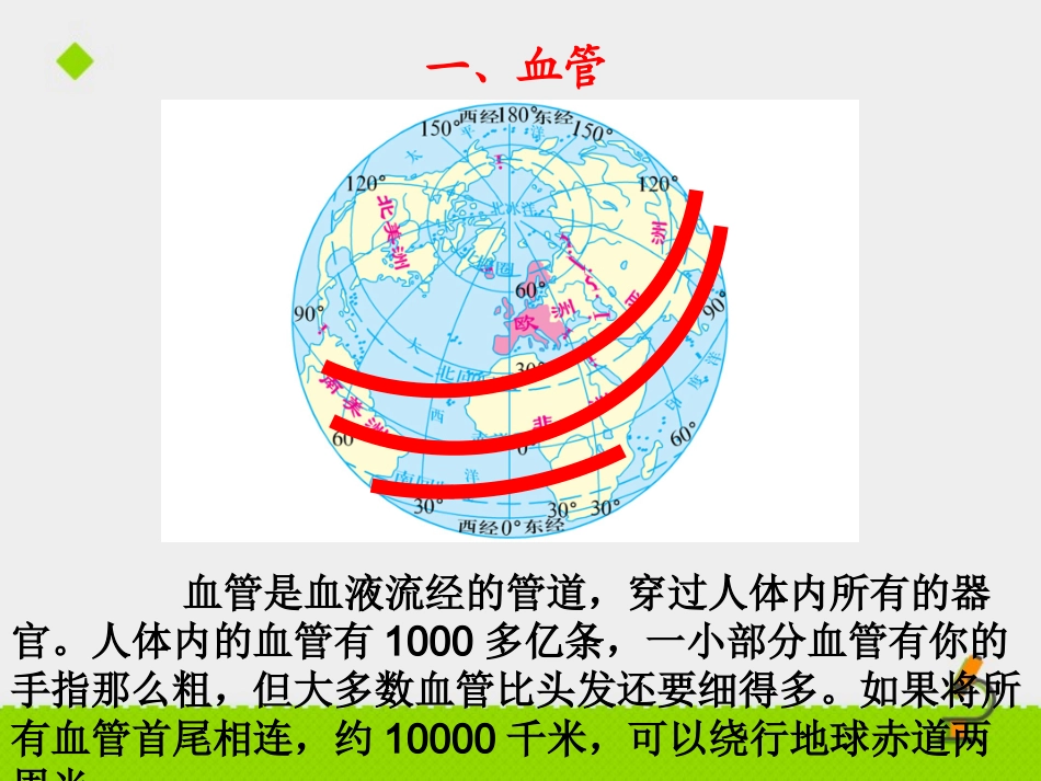 物质运输的器官课件_第3页