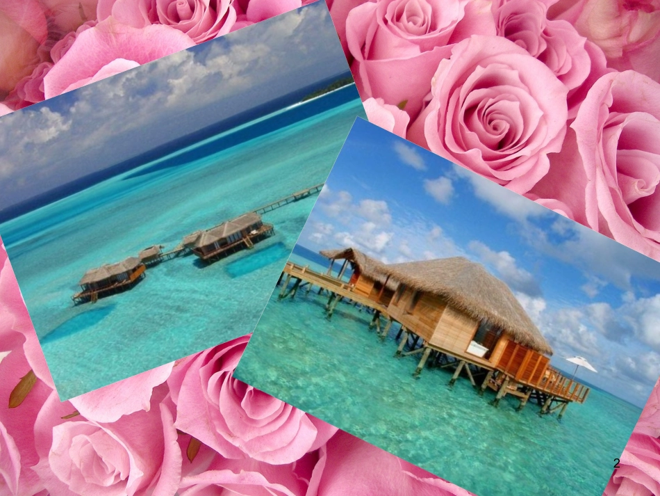 希尔顿酒店集团介绍课件_第2页