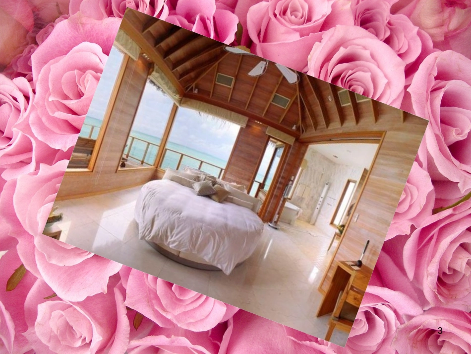 希尔顿酒店集团介绍课件_第3页