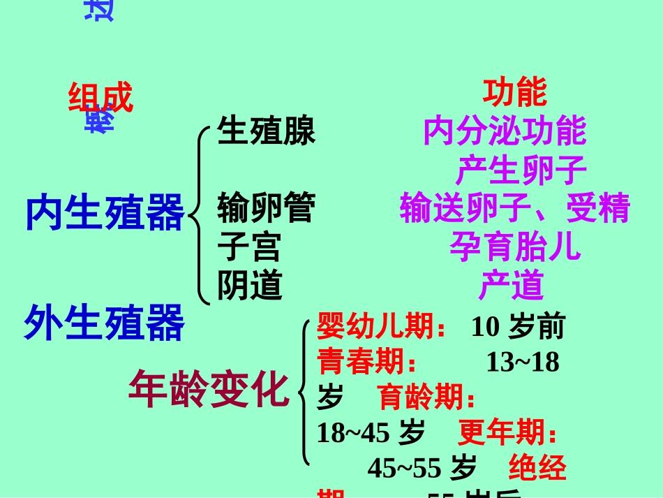 系统解剖学女性生殖系统_第2页