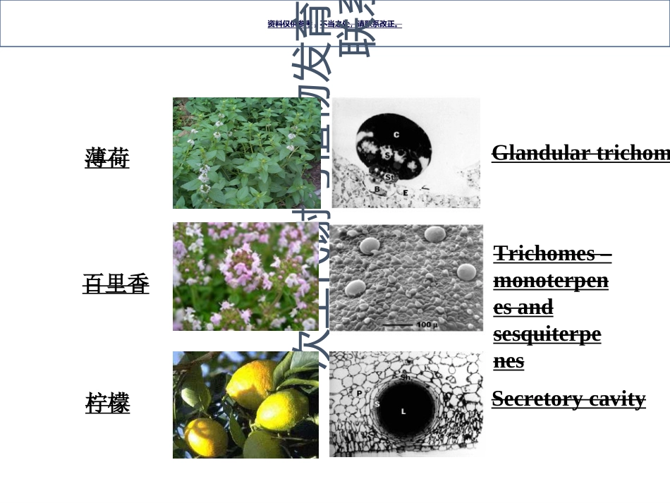 系统生物学代谢组学_第2页